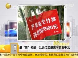 搜狐视频垃圾,如何辨别与应对