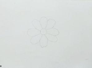 画花朵的视频,花朵绽放的瞬间之美