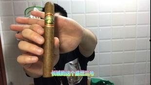 雪茄视频,探寻烟草艺术的独特韵味