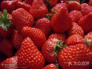 黄草莓视频,揭秘草莓种植的奥秘与魅力