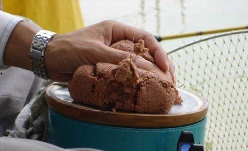 开饵料视频,轻松掌握钓鱼技巧