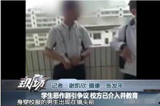 男阴部视频,生理结构与常见问题解析